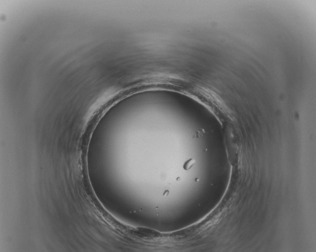 X0000073711164200608101831