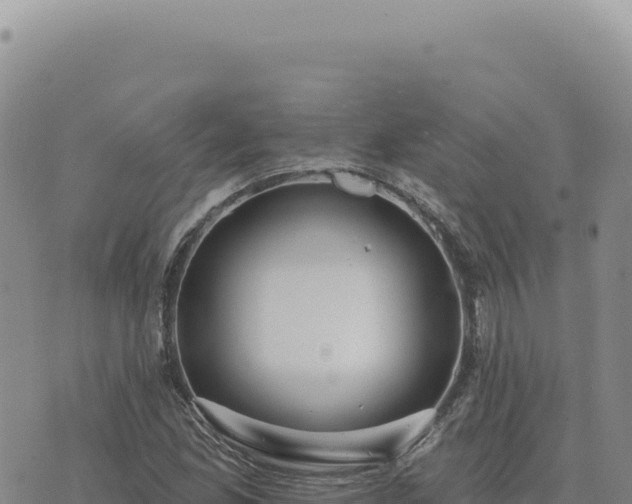 X0000073711165200608101831