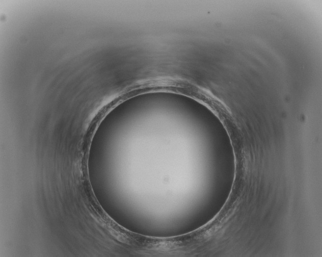 X0000073711166200608101831