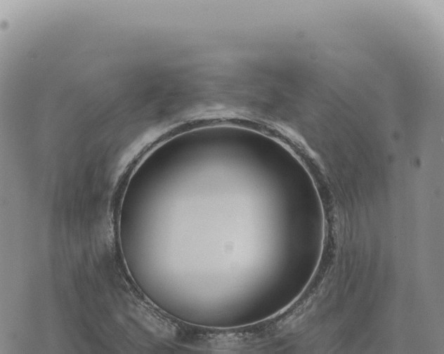 X0000073711167200608101831