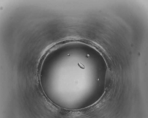 X0000073711168200608101831