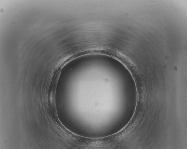 X0000073711169200608101831