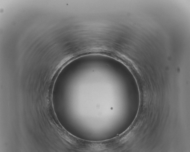 X0000073711170200608101831