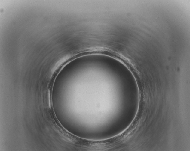 X0000073711171200608101831