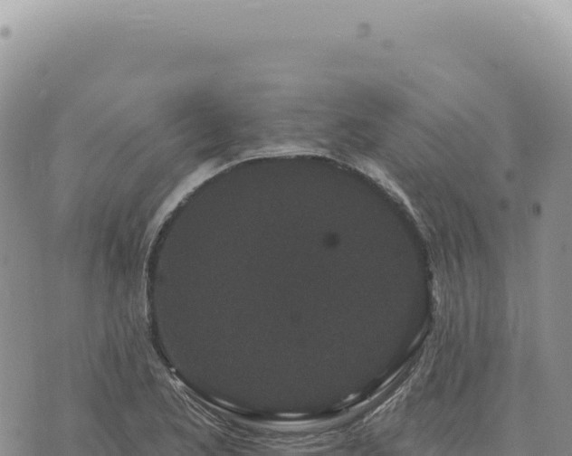 X0000073711173200608101831