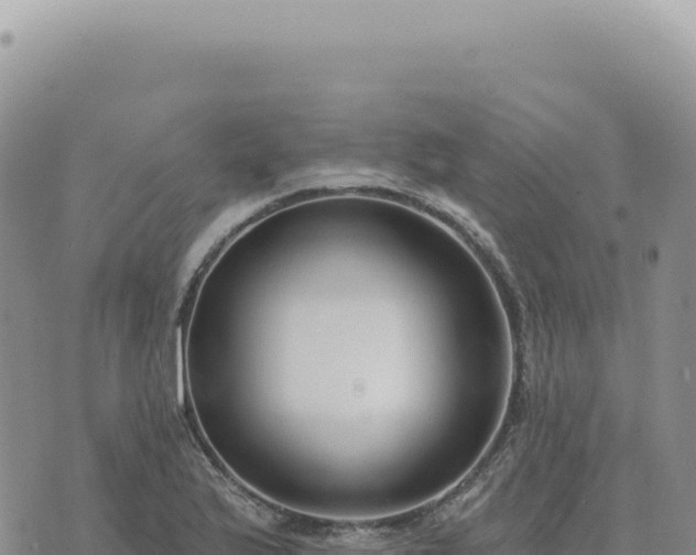 X0000073711175200608101831