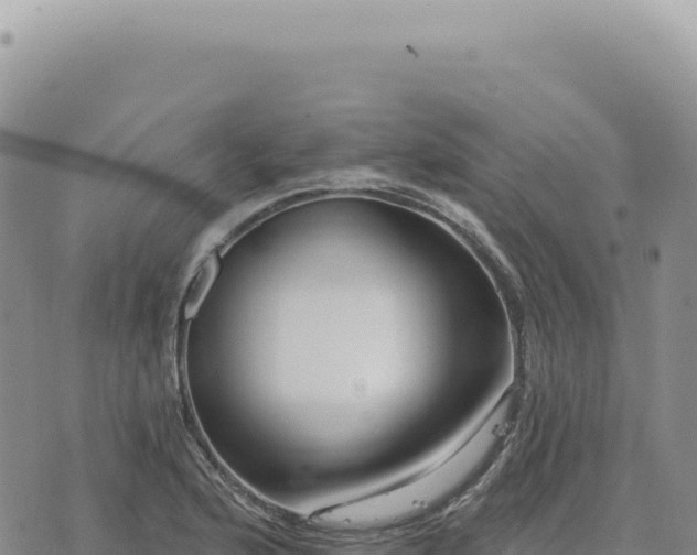 X0000073711176200608101831