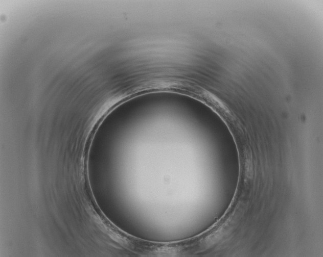 X0000073711178200608101831