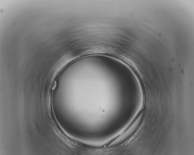 X0000073711179200608101831