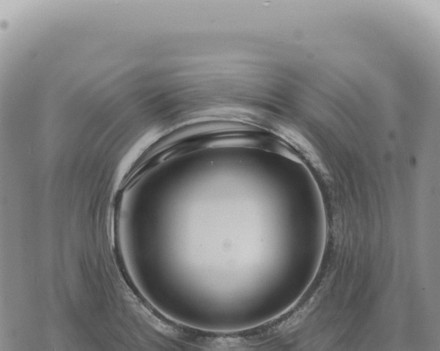 X0000073711180200608101831