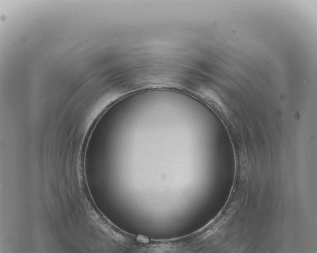 X0000073711182200608101831