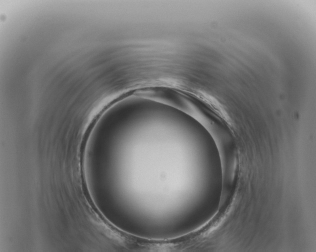 X0000073711184200608101831