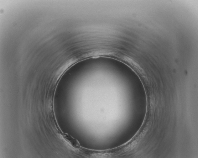 X0000073711185200608101831