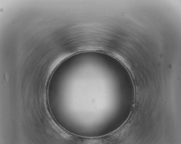 X0000073711187200608101831