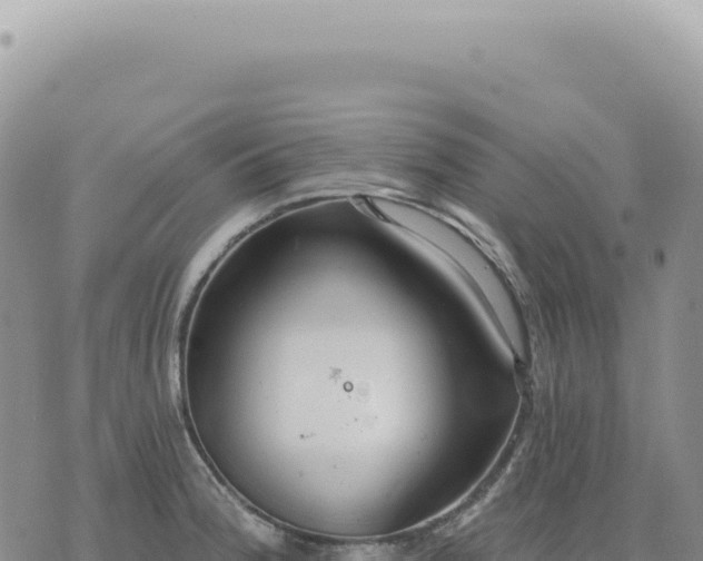 X0000073711188200608101831