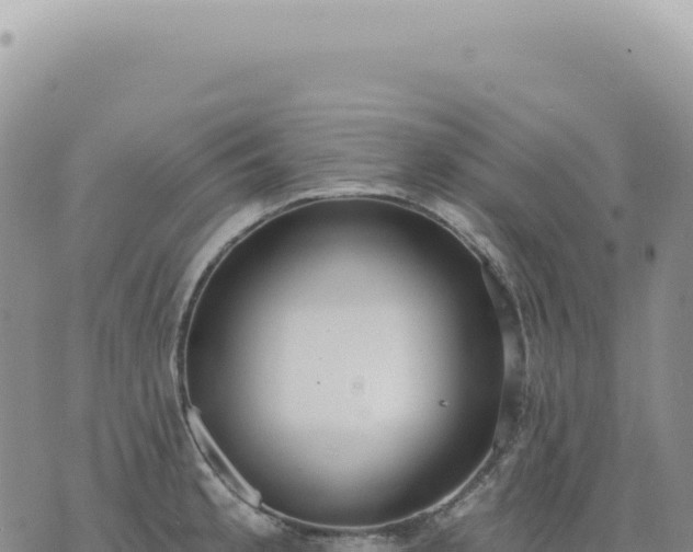 X0000073711189200608101831