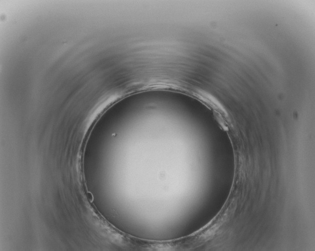 X0000073711190200608101831