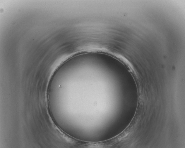 X0000073711191200608101831