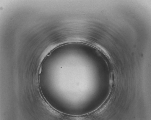 X0000073711192200608101831