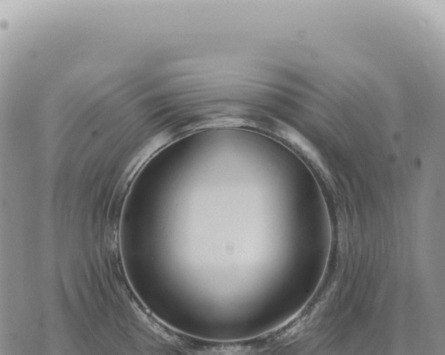 X0000073711193200608101831