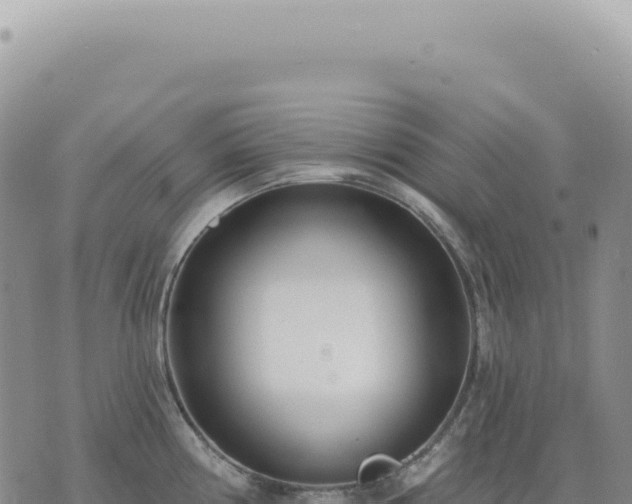 X0000073711194200608101831