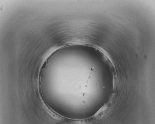 X0000073711195200608101831