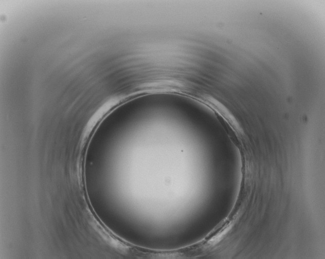 X0000073711196200608101831