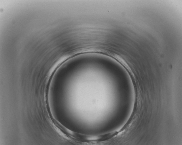 X0000073711197200608101831