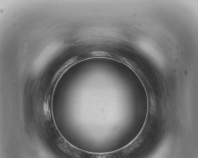 X0000073711198200608101831