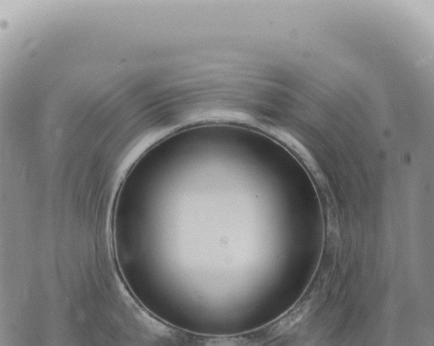 X0000073711199200608101831