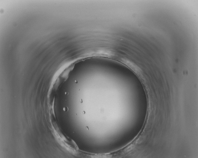 X0000073711200200608101831