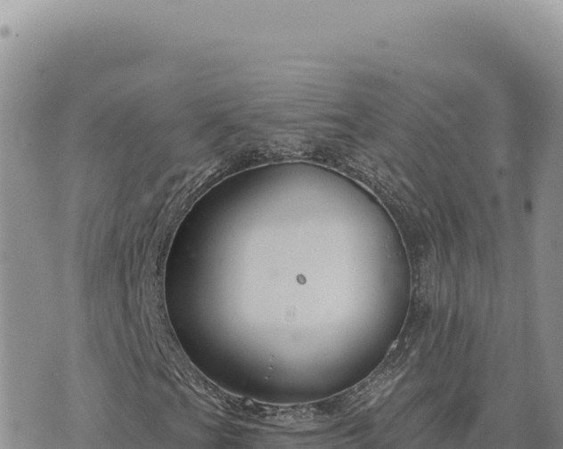 X0000073711201200608101830