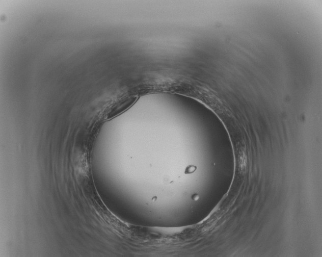 X0000073711204200608101830