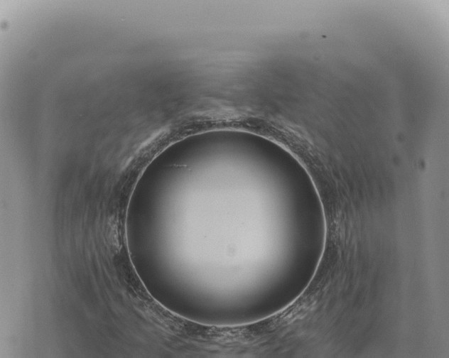 X0000073711205200608101830