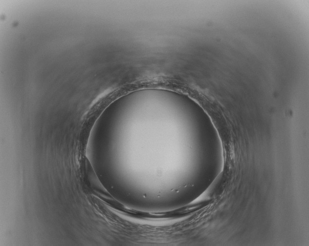 X0000073711206200608101830