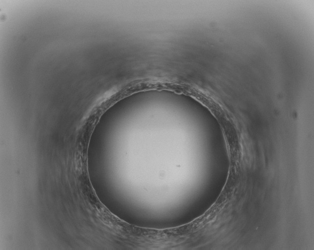 X0000073711207200608101830