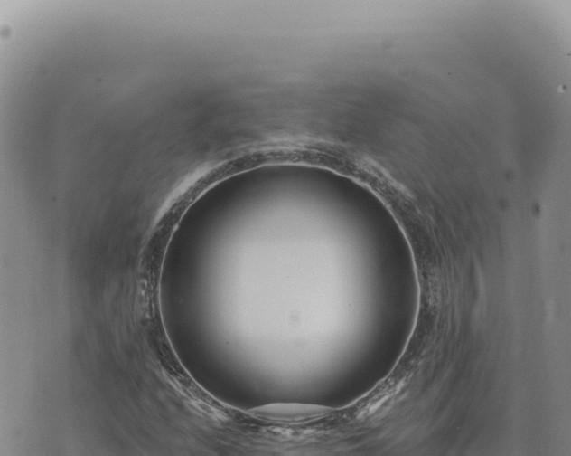 X0000073711208200608101830