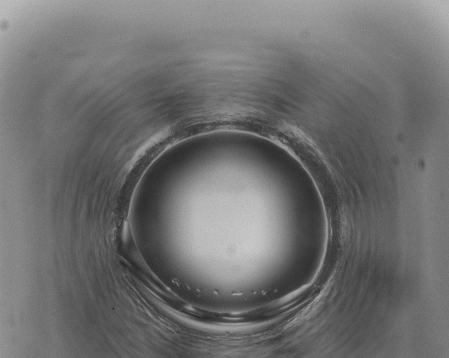 X0000073711210200608101830