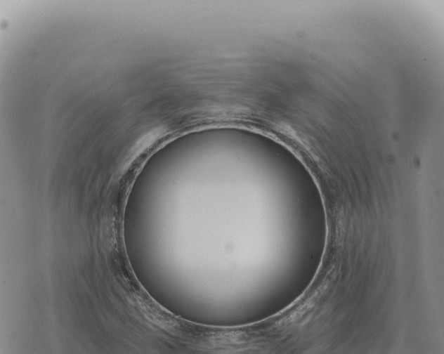 X0000073711211200608101830