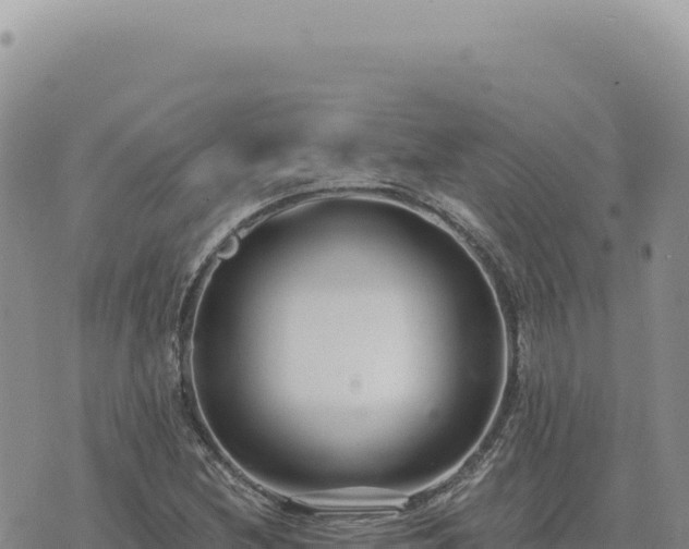 X0000073711212200608101830