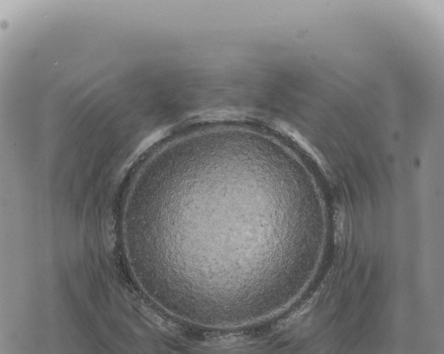 X0000073711213200608101830