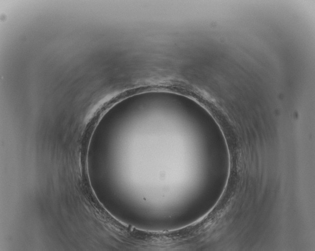 X0000073711214200608101830