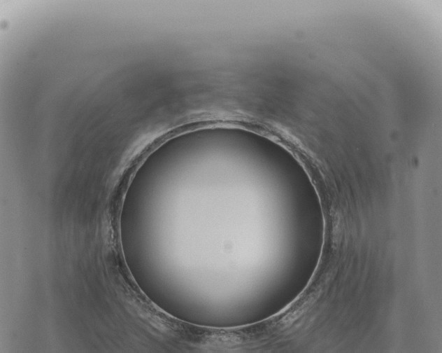 X0000073711215200608101830