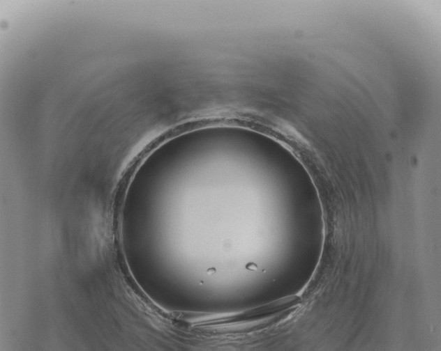 X0000073711216200608101830