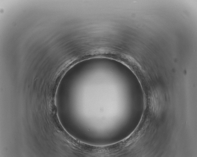 X0000073711217200608101830