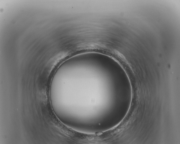 X0000073711218200608101830