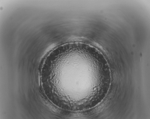 X0000073711219200608101830