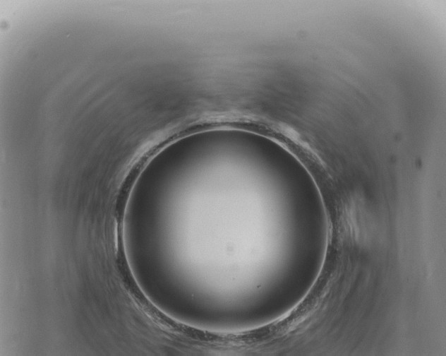 X0000073711221200608101830