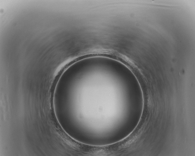 X0000073711222200608101830