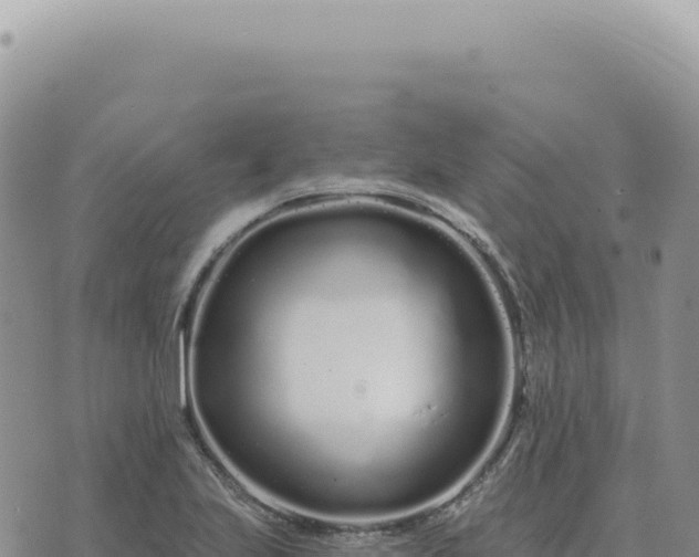 X0000073711223200608101830